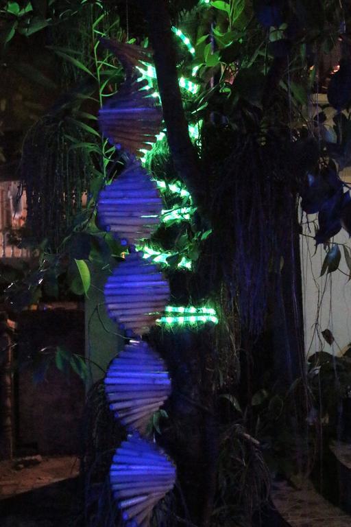 Blue Bamboo Hotel Balabag  Zewnętrze zdjęcie