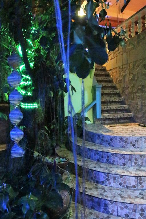 Blue Bamboo Hotel Balabag  Zewnętrze zdjęcie